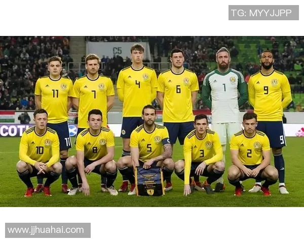 奥地利与格鲁吉亚足球对决分析及胜负推荐建议